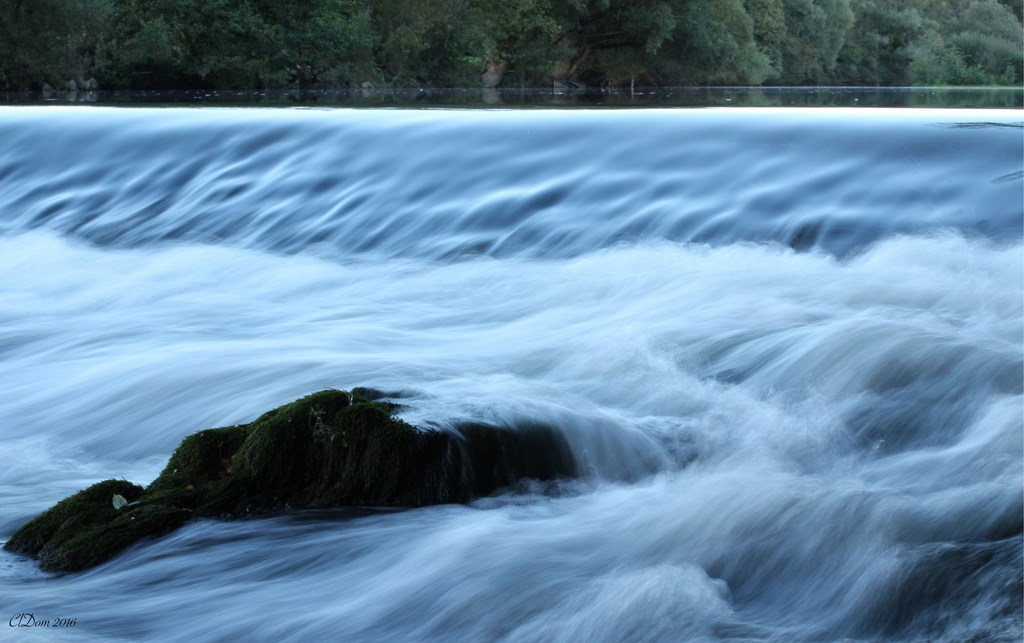 78- Réserve - Rebourseaux - 29 Septembre 2016